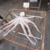Thumbnail of related posts 131
