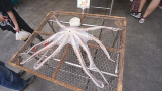 Thumbnail of post image 005
