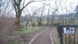 Thumbnail of post image 058