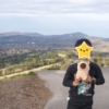 Thumbnail of related posts 016